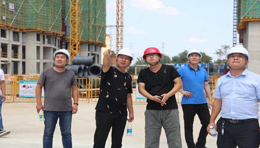 平博集团董事会巡检圆满完成